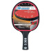 Купить Ракетка для настольного тенниса  Donic Protection Line S300 в Киеве - фото №1